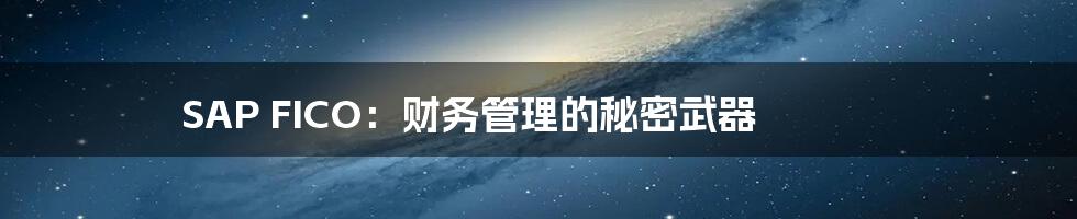 SAP FICO：财务管理的秘密武器