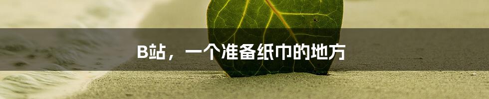 B站,一个准备纸巾的地方