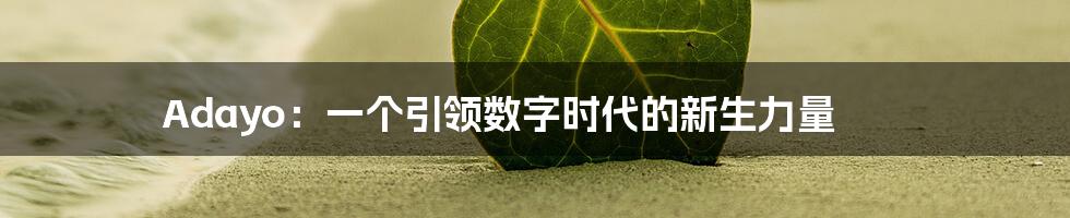 Adayo:一个引领数字时代的新生力量