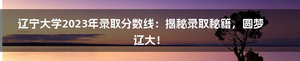 辽宁大学2023年录取分数线:揭秘录取秘籍,圆梦辽大!