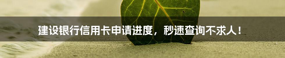 建设银行信用卡申请进度,秒速查询不求人!