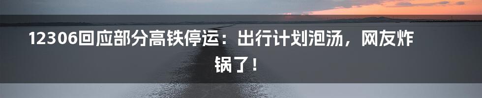 12306回应部分高铁停运:出行计划泡汤,网友炸锅了!