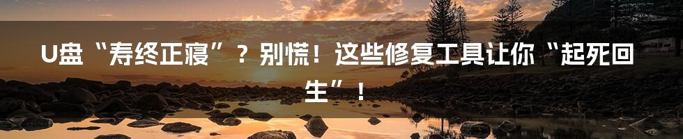 U盘“寿终正寝”?别慌!这些修复工具让你“起死回生”!