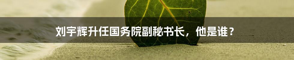 刘宇辉升任国务院副秘书长,他是谁?