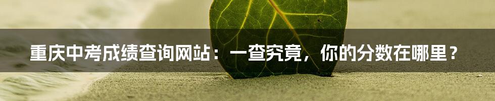 重庆中考成绩查询网站:一查究竟,你的分数在哪里?