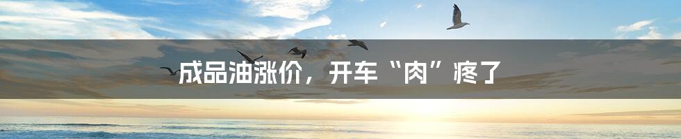 成品油涨价,开车“肉”疼了