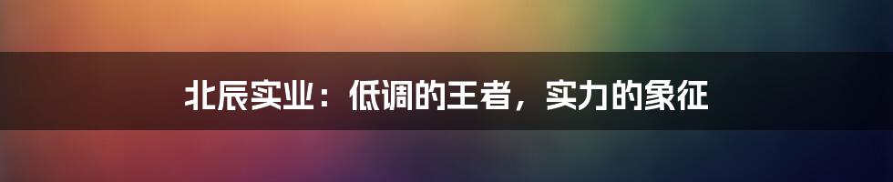 北辰实业：低调的王者，实力的象征