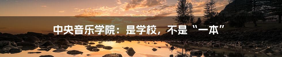 中央音乐学院:是学校,不是“一本”