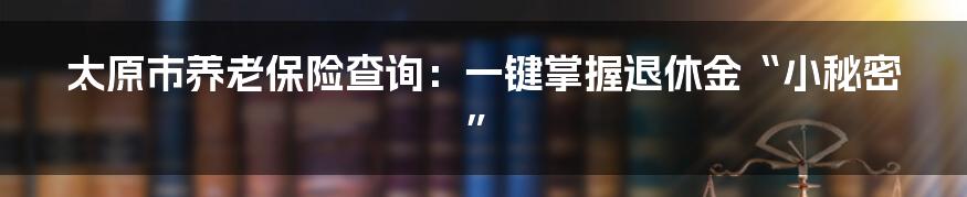 太原市养老保险查询:一键掌握退休金“小秘密”