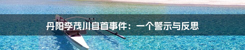 丹阳李茂川自首事件:一个警示与反思