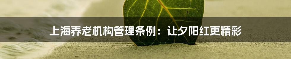 上海养老机构管理条例：让夕阳红更精彩