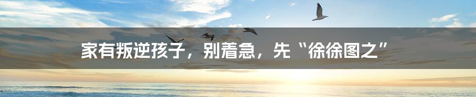 家有叛逆孩子,别着急,先“徐徐图之”