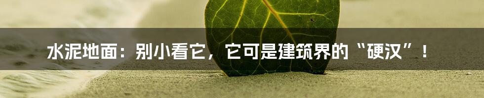 水泥地面:别小看它,它可是建筑界的“硬汉”!