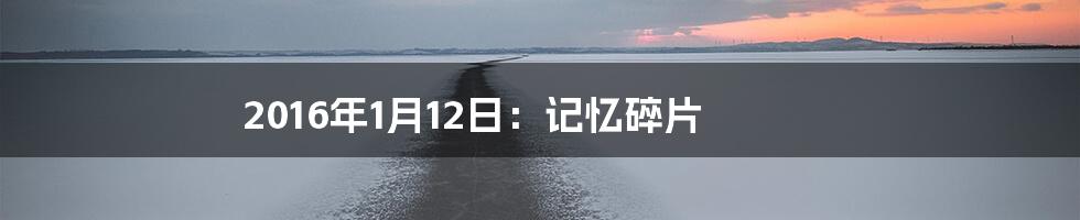 2016年1月12日:记忆碎片