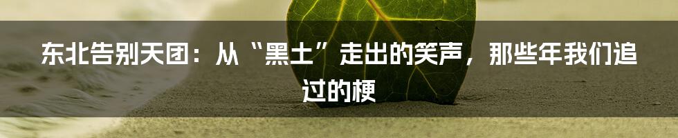 东北告别天团:从“黑土”走出的笑声,那些年我们追过的梗