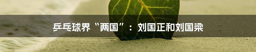 乒乓球界“两国”：刘国正和刘国梁