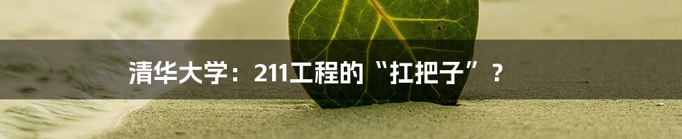 清华大学:211工程的“扛把子”?