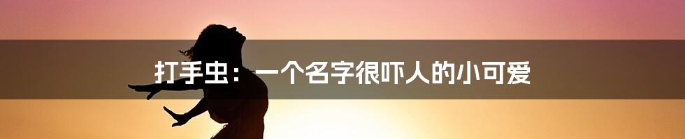 打手虫:一个名字很吓人的小可爱
