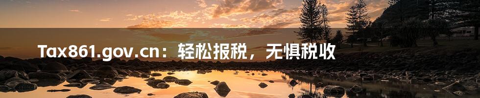 Tax861.gov.cn:轻松报税,无惧税收