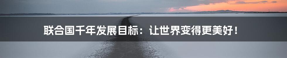 联合国千年发展目标：让世界变得更美好！