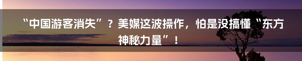 “中国游客消失”?美媒这波操作,怕是没搞懂“东方神秘力量”!