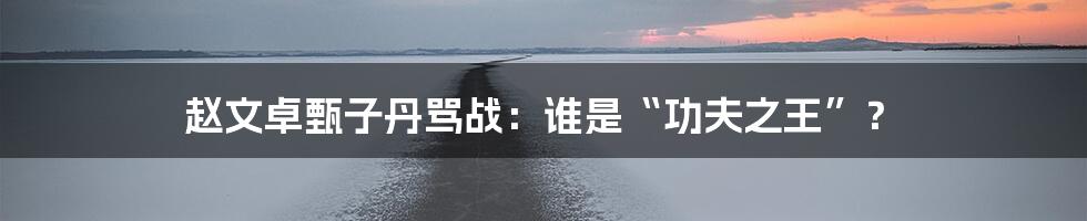 赵文卓甄子丹骂战:谁是“功夫之王”?