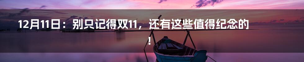 12月11日:别只记得双11,还有这些值得纪念的!