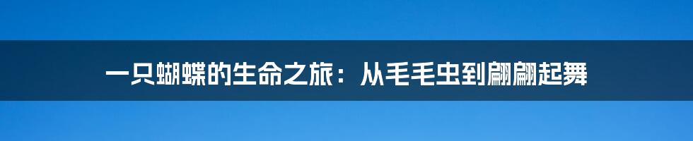 一只蝴蝶的生命之旅:从毛毛虫到翩翩起舞