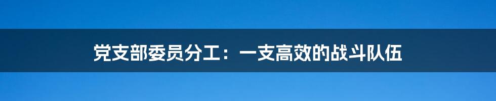 党支部委员分工:一支高效的战斗队伍