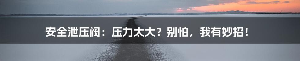 安全泄压阀:压力太大?别怕,我有妙招!