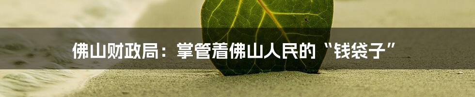 佛山财政局:掌管着佛山人民的“钱袋子”