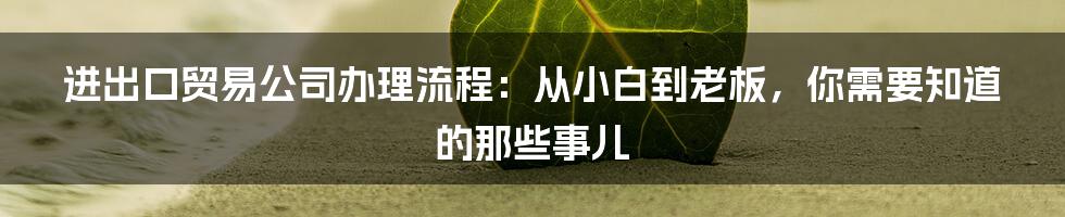 进出口贸易公司办理流程：从小白到老板，你需要知道的那些事儿