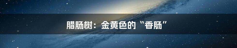 腊肠树:金黄色的“香肠”