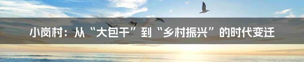 小岗村：从“大包干”到“乡村振兴”的时代变迁