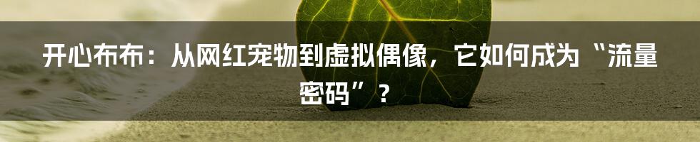 开心布布:从网红宠物到虚拟偶像,它如何成为“流量密码”?