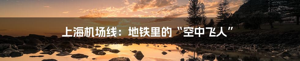上海机场线:地铁里的“空中飞人”
