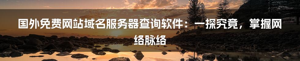 国外免费网站域名服务器查询软件:一探究竟,掌握网络脉络