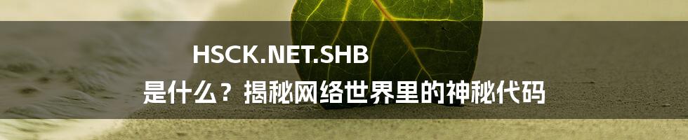 HSCK.NET.SHB 是什么?揭秘网络世界里的神秘代码