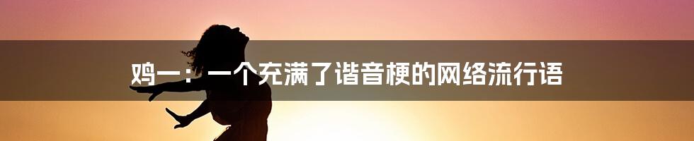 鸡一:一个充满了谐音梗的网络流行语