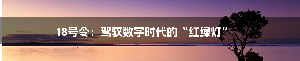 18号令:驾驭数字时代的“红绿灯”