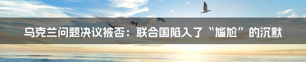 乌克兰问题决议被否:联合国陷入了“尴尬”的沉默
