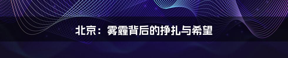 北京:雾霾背后的挣扎与希望