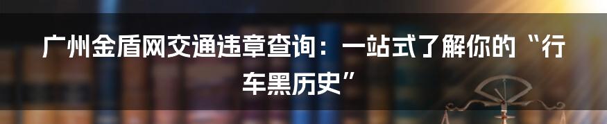 广州金盾网交通违章查询:一站式了解你的“行车黑历史”