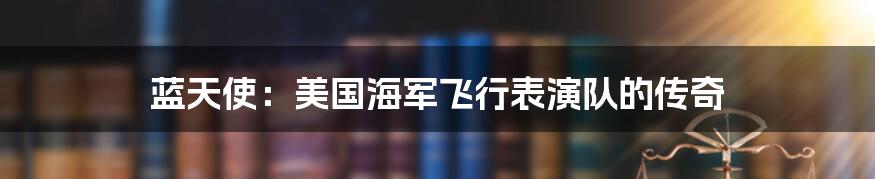 蓝天使:美国海军飞行表演队的传奇