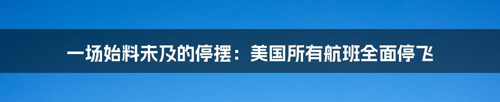 一场始料未及的停摆:美国所有航班全面停飞
