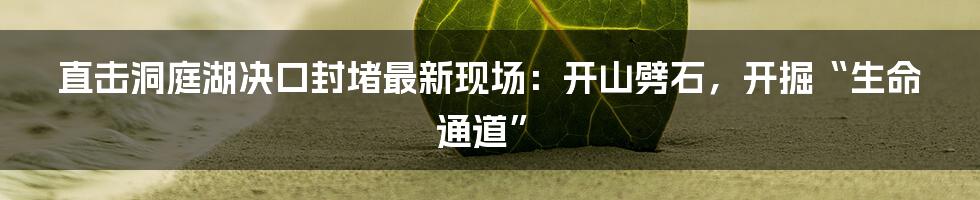 直击洞庭湖决口封堵最新现场:开山劈石,开掘“生命通道”