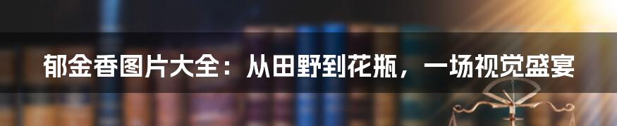 郁金香图片大全:从田野到花瓶,一场视觉盛宴