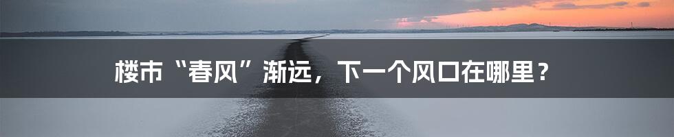 楼市“春风”渐远,下一个风口在哪里?