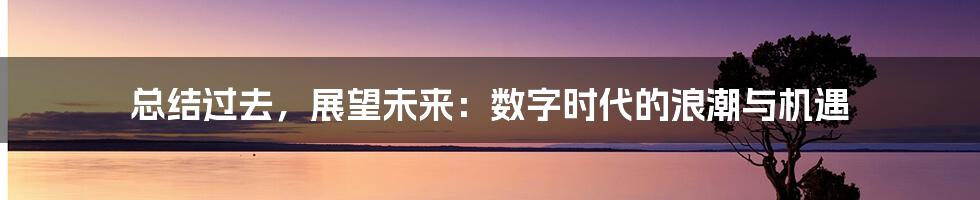 总结过去,展望未来:数字时代的浪潮与机遇