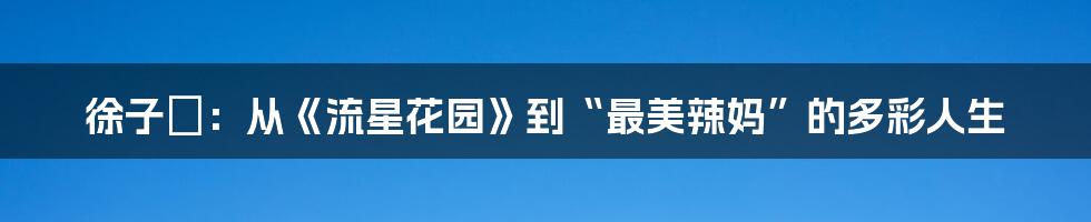 徐子瑄：从《流星花园》到“最美辣妈”的多彩人生